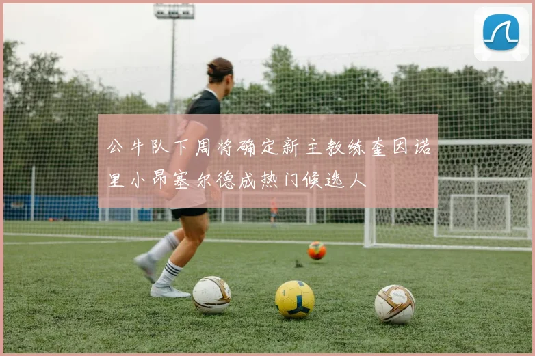 公牛队下周将确定新主教练奎因诺里小昂塞尔德成热门候选人